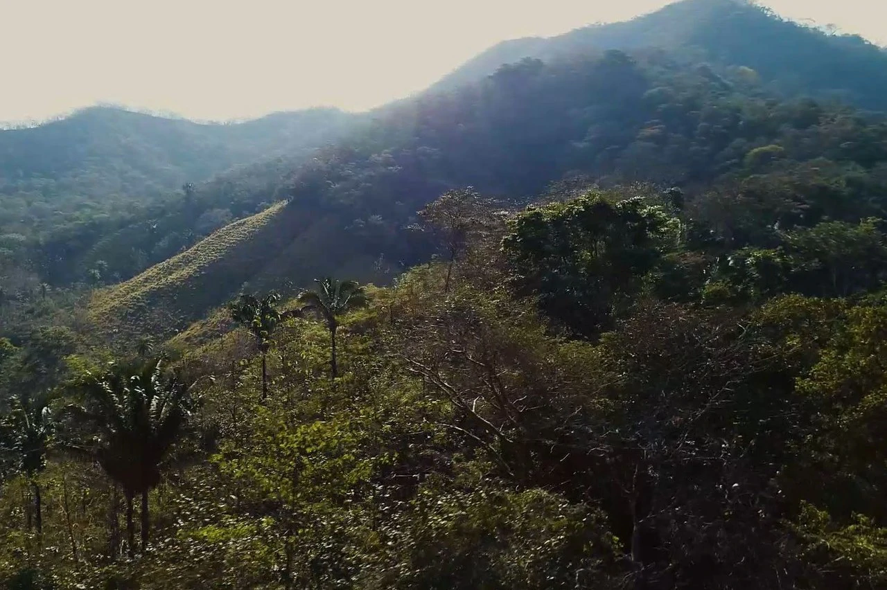 Finca Las Nubes: Amazing 75 Hectare / 185 Acre Finca, with a 300 m2 Main Home and Pool Built above the Clouds - Gallery image 7