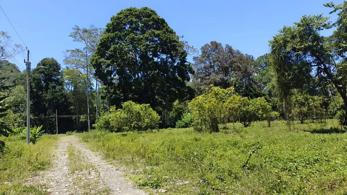 ID 924: El Cortijo: El Cortijo - Residential Lots for Sale in Hone Creek Near Puerto Viejo - Gallery image 6