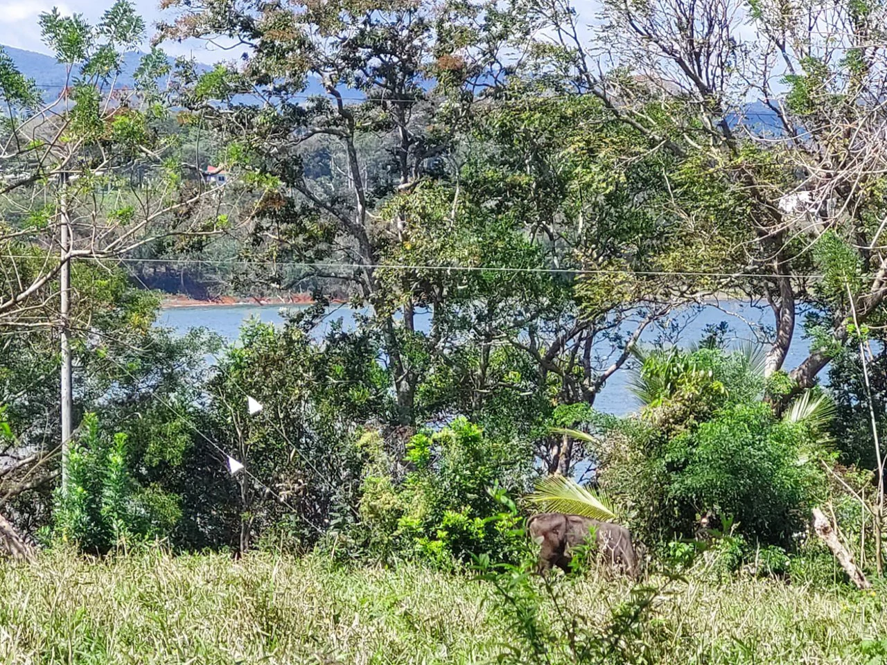 LAGO AZUL: Lake View lot of just under 1 acre - Gallery image 4