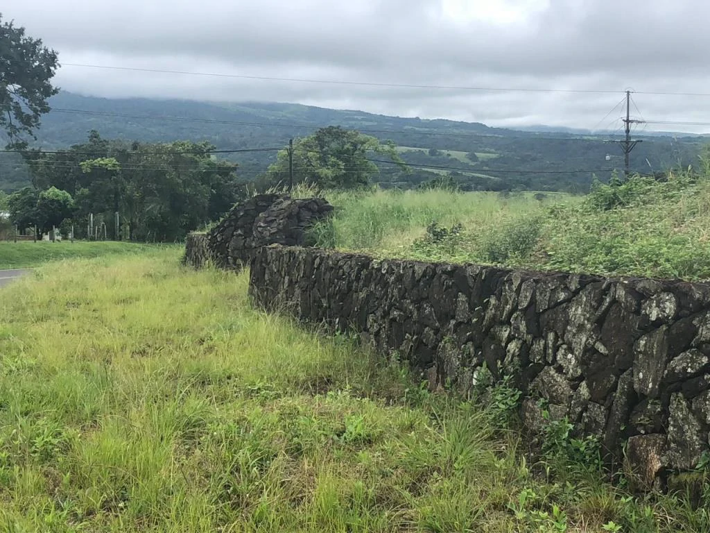 Lot with High Development Potential in Bijagua, Valle de Miravalles, Costa Rica - Gallery image 4