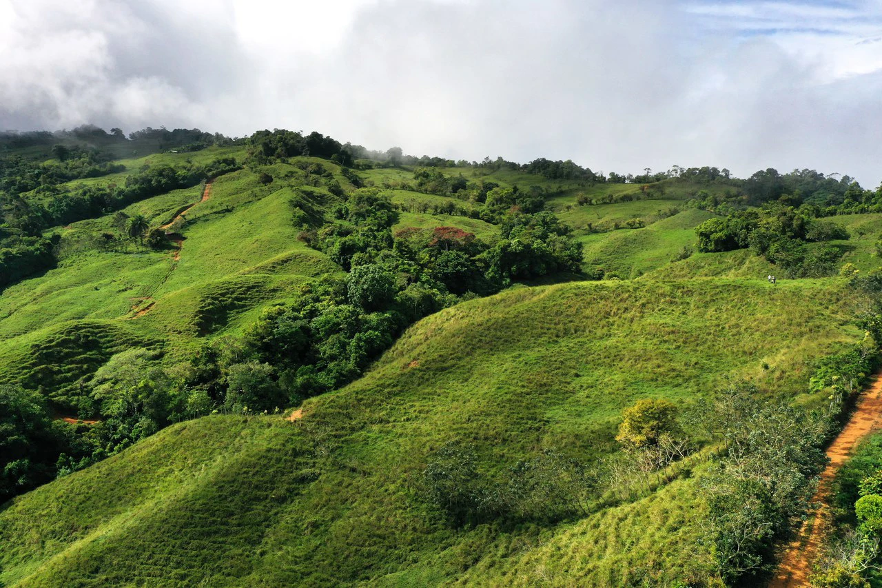 150 Acre Cattle Ranch with Panoramic Views Above the mountains of Uvita - Gallery image 6