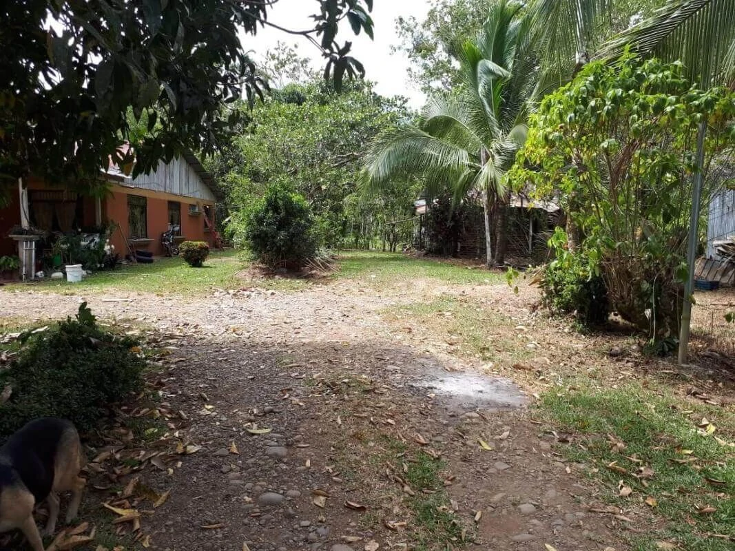 land for sale Alajuela San Carlos Pocosol Santa Maria Santa Rosa