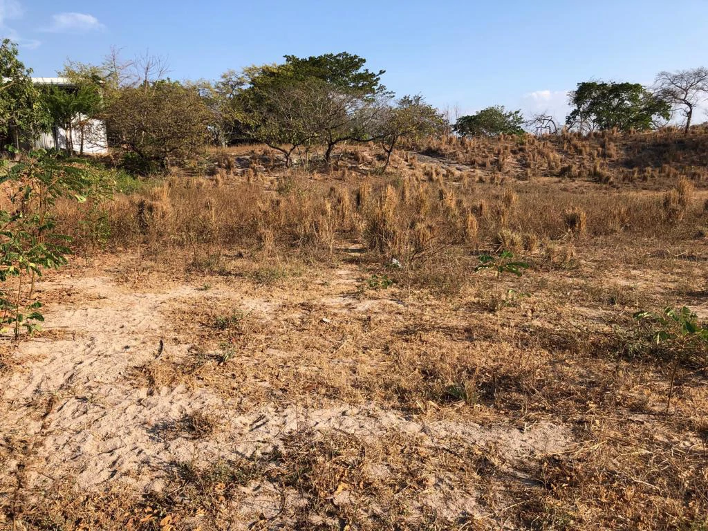 Airport Property - in front of route 21, Liberia - Gallery image 10