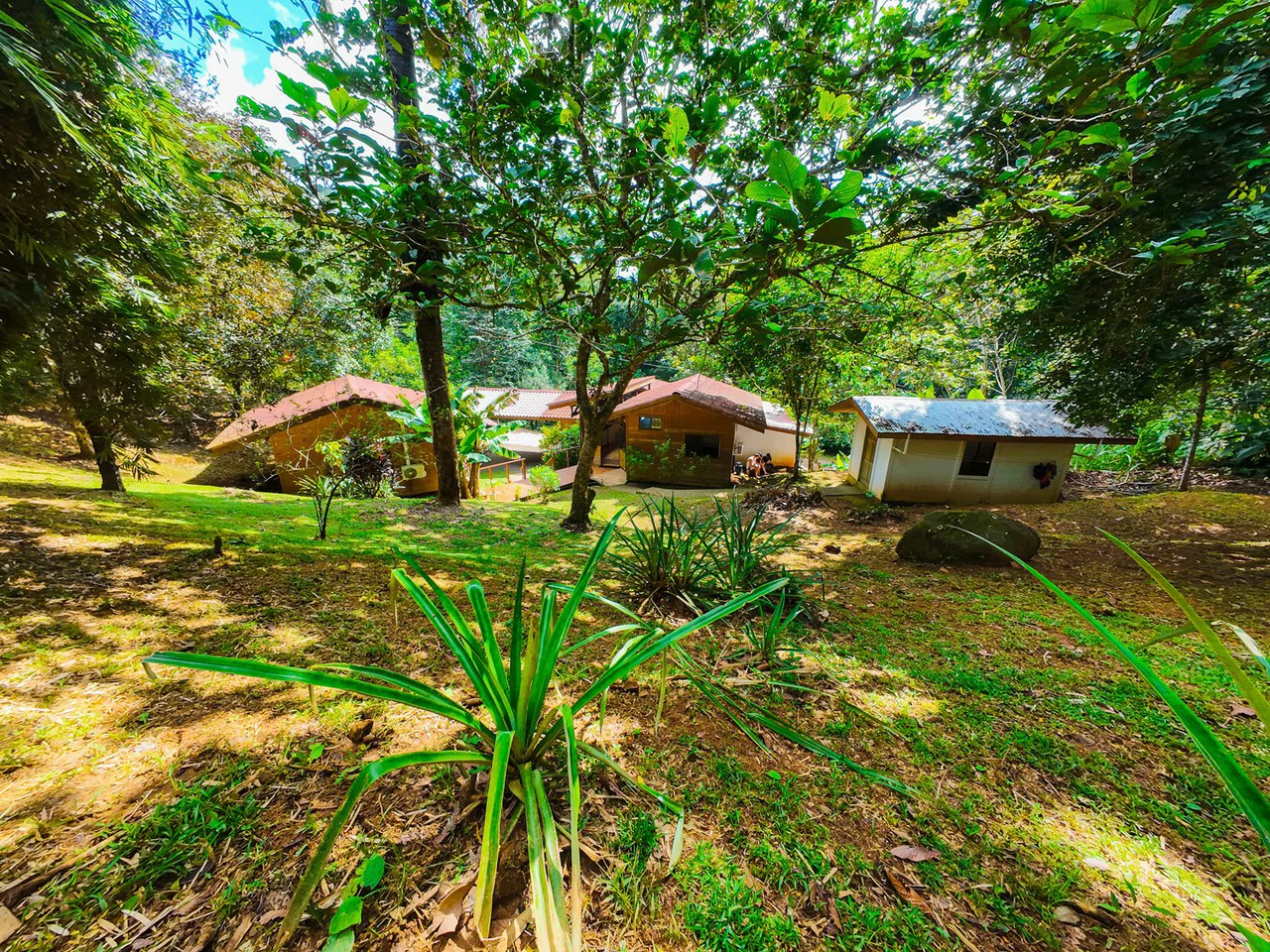 Serene Jungle Home + Guest Cabin on 3 Acres and River - Gallery image 25