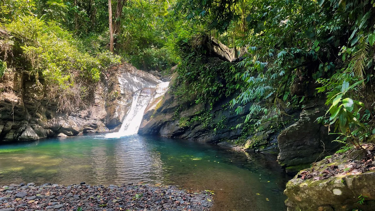 FINCA CERRO DEL TIGRE! OVER 20 ACRES OF PRIMARY FOREST AND WATERFALLS.: Mountain Agricultural Land For Sale in La Unión - Gallery image 16