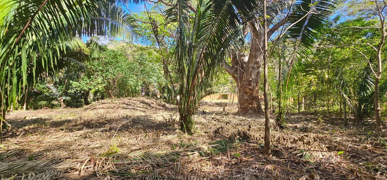 1-Acre Lot with Seasonal Creek - Build Your Dream Home, Rentals, or Business