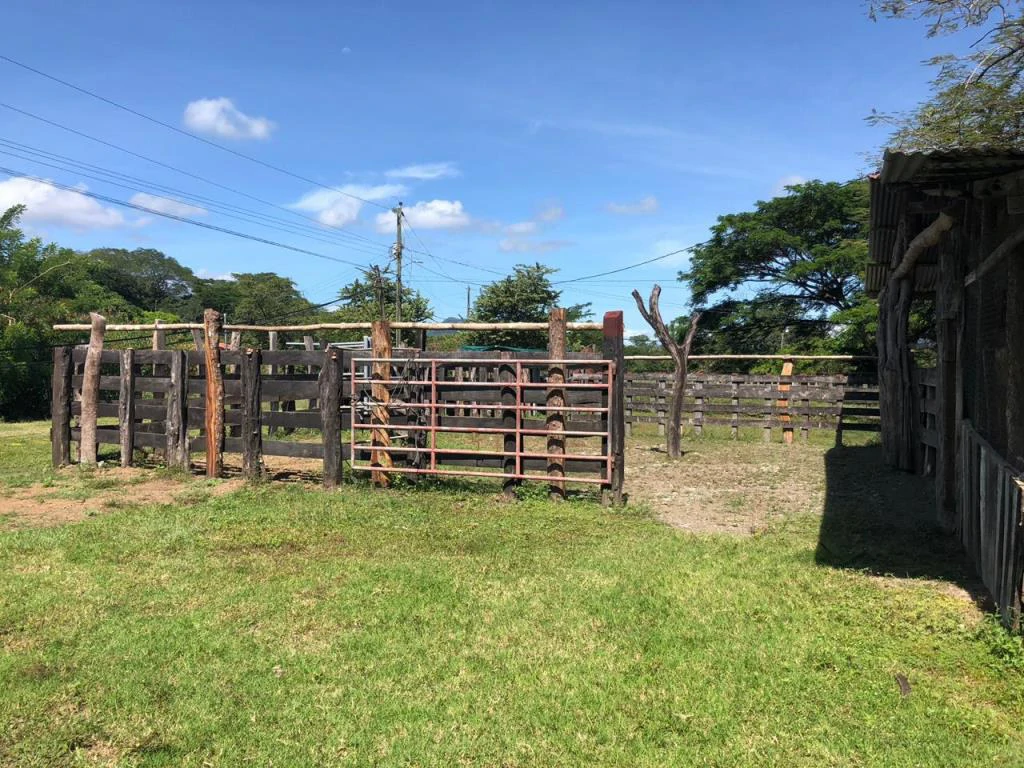 Huge dream Cattle farm for sale with 2 houses close to the Gulf of Nicoya, Guanacaste, Costa Rica - Gallery image 18