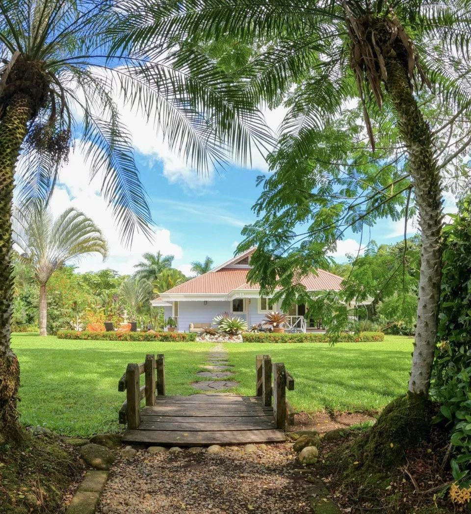 Beautiful Home for Sale with its own Natural Paradise - Gallery image 3