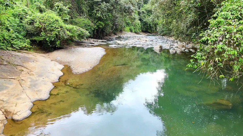 Finca Makambu: Countryside, Mountain, Near the Coast and Riverfront Property For Sale in Barú - Gallery image 25