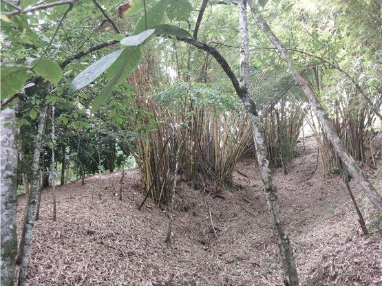 Home Construction Site For Sale in Jacó - Gallery image 5