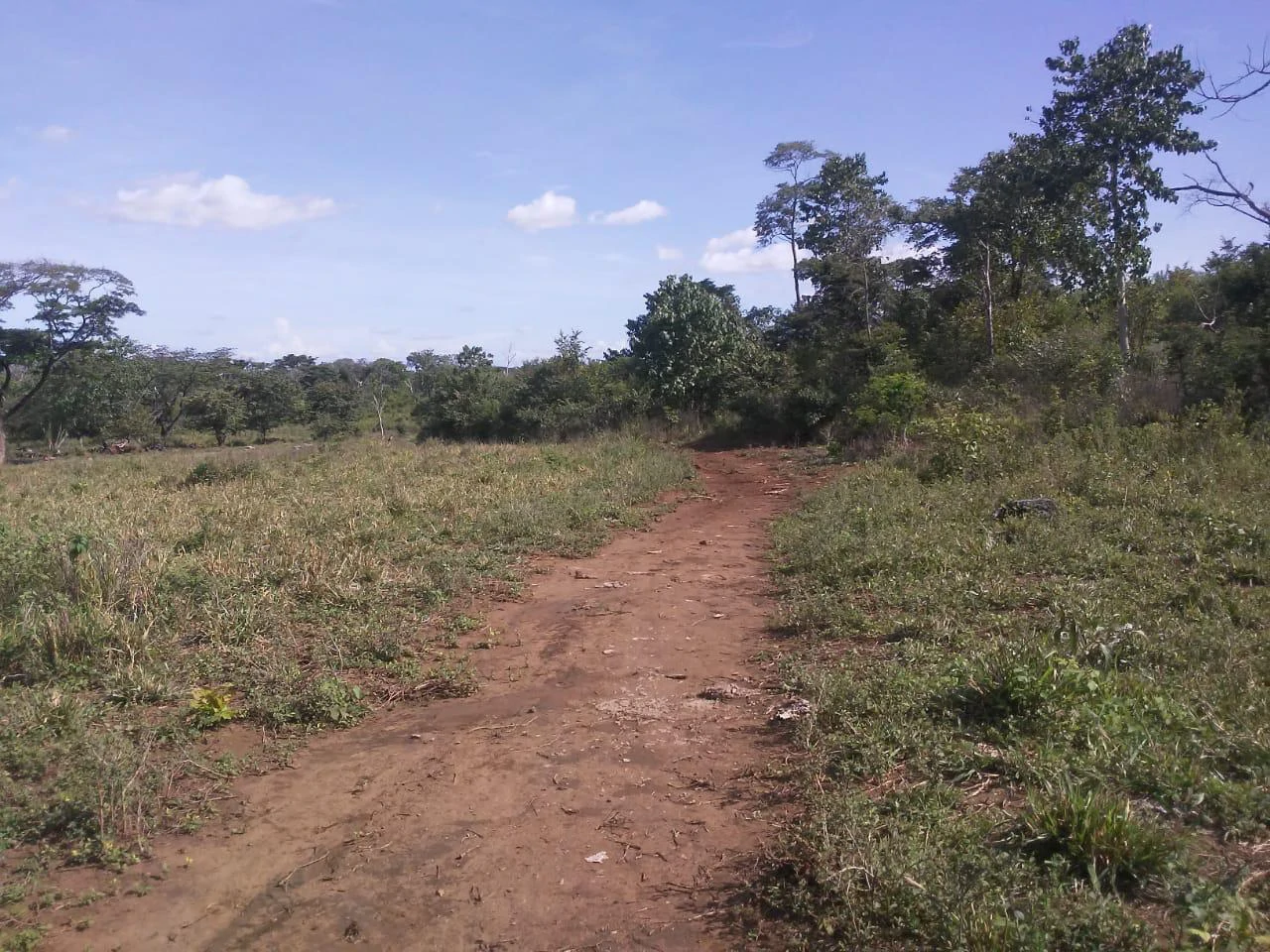 Large commercial property for sale in the Papagayo area, close to the Marina Papagayo or Four Season luxury hotel - Gallery image 5