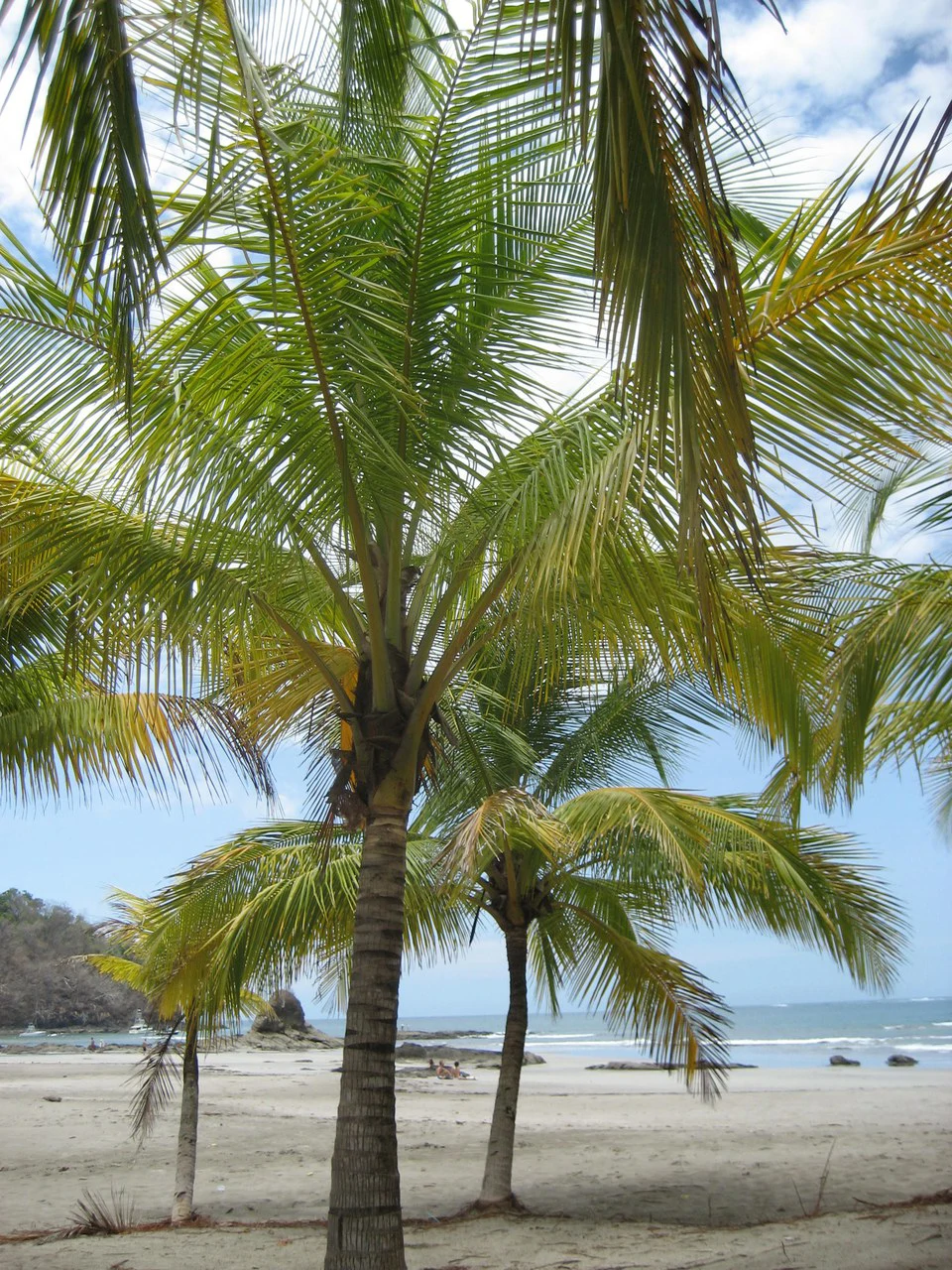 Beach Boutique Hotel for sale, Turn Key business opportunity in an established community in Playa Carrillo, Guanacaste - Gallery image 20