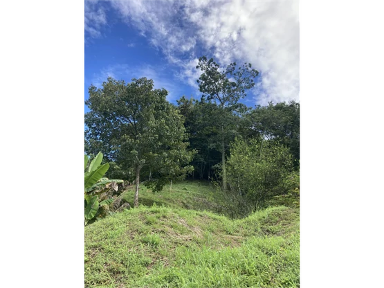 Venta de una hectárea con vivienda principal en Herradura: ¡Your Own Paradise in Herradura, Costa Rica! - Gallery image 28
