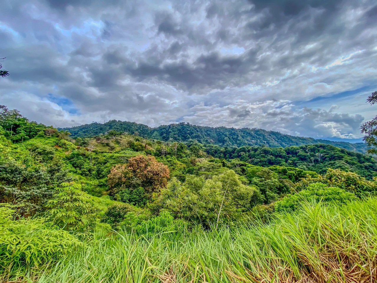24.46 ACRES- Ocean And Mountain View Land, 4 Building Areas, Legal Water, Public Road, 20min From Beaches!!! - Gallery image 3