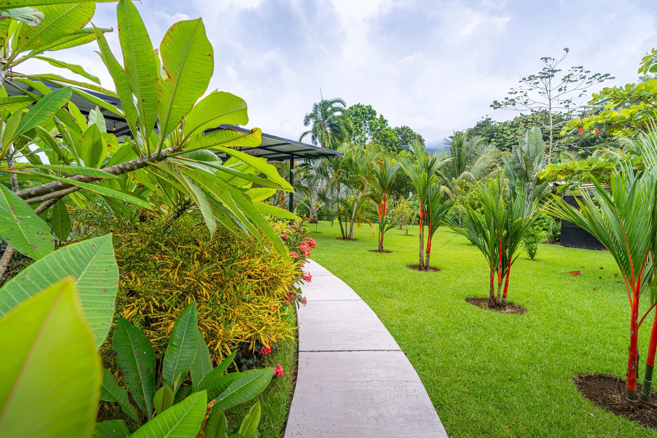 Outstanding Garden Treasure in Ojochal, Modern 4 bedroom on 1 acre - Gallery image 12