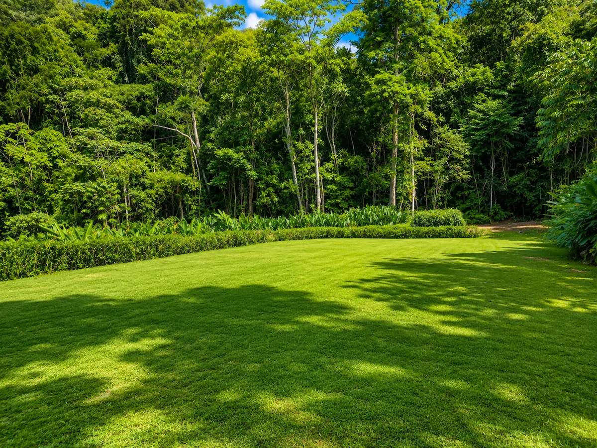 Spectacular Coastal Rainforest Estate Property - Gallery image 11