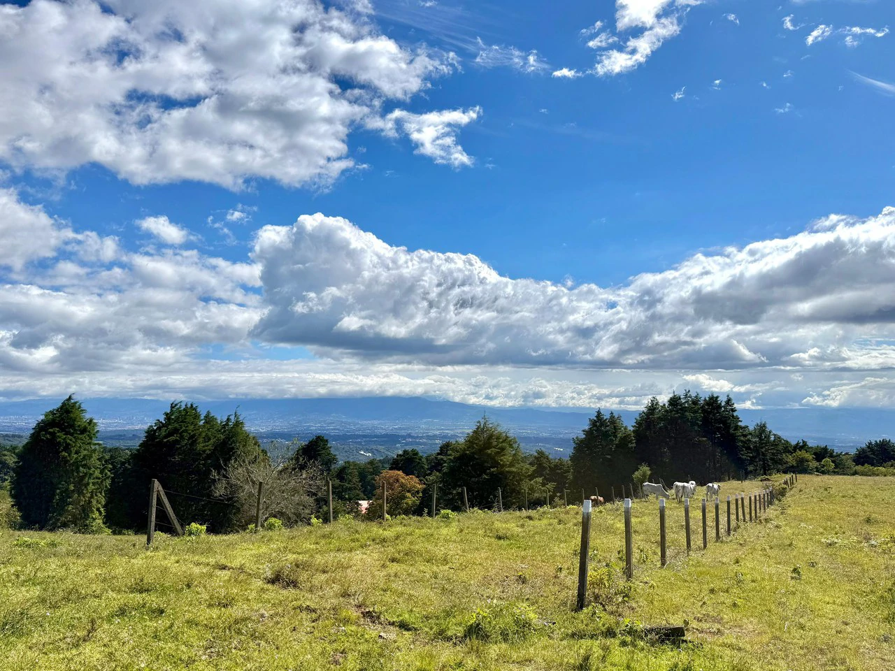 Land + City Views!: 7,133 m² with Panorama Central Valley views! - Gallery image 4