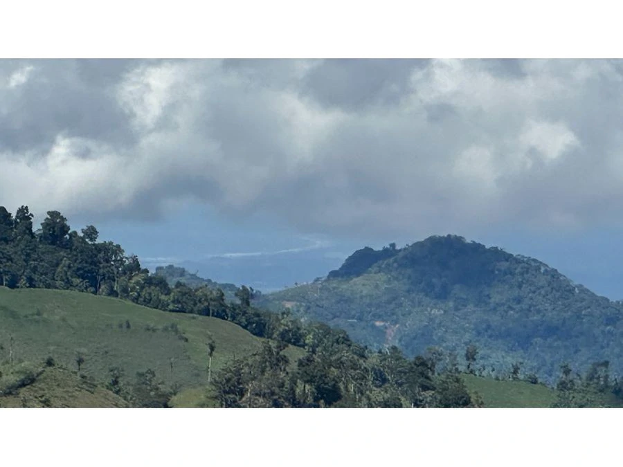 BEAUTIFUL MOUNTAIN VIEW FINCA WITH CABIN IN RIO NUEVO - Gallery image 17