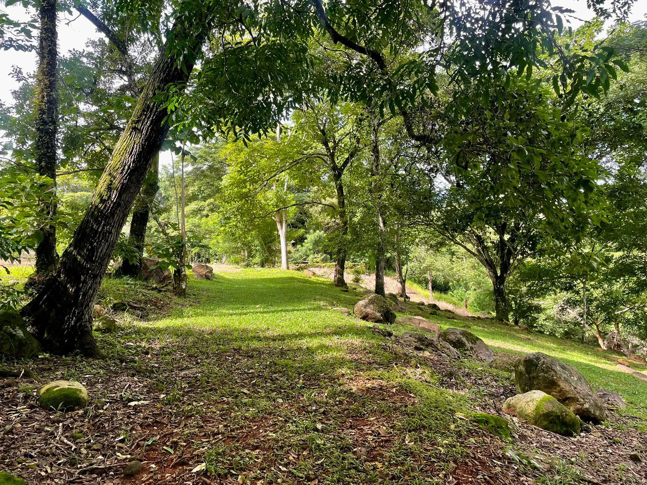 Property for Sale for Tourism Development with River in Orotina Alajuela Costa Rica - Gallery image 16