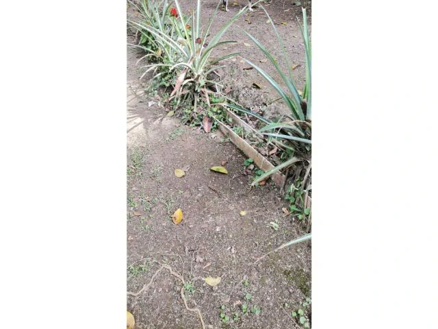 Countryside, Lakefront and Mountain House For Sale in Arenal - Gallery image 11