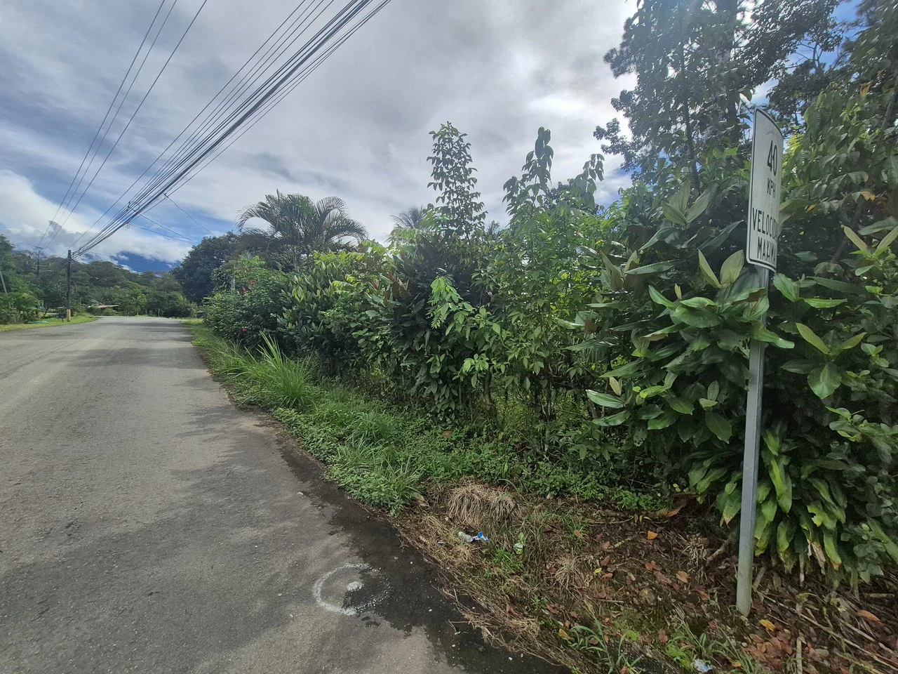 Countryside Home Construction Site For Sale in Daniel Flores - Gallery image 7
