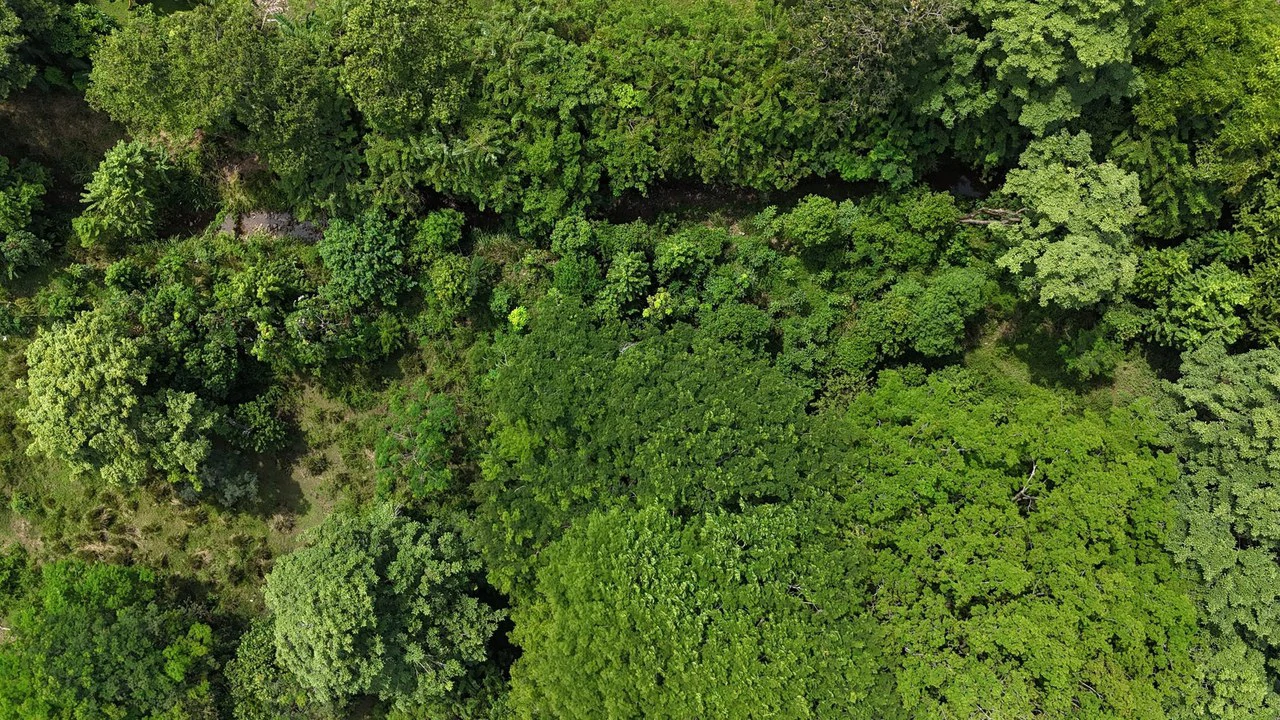 Walk to the beach, Developement Land, Mini Ranch, Central Uvita - Gallery image 8