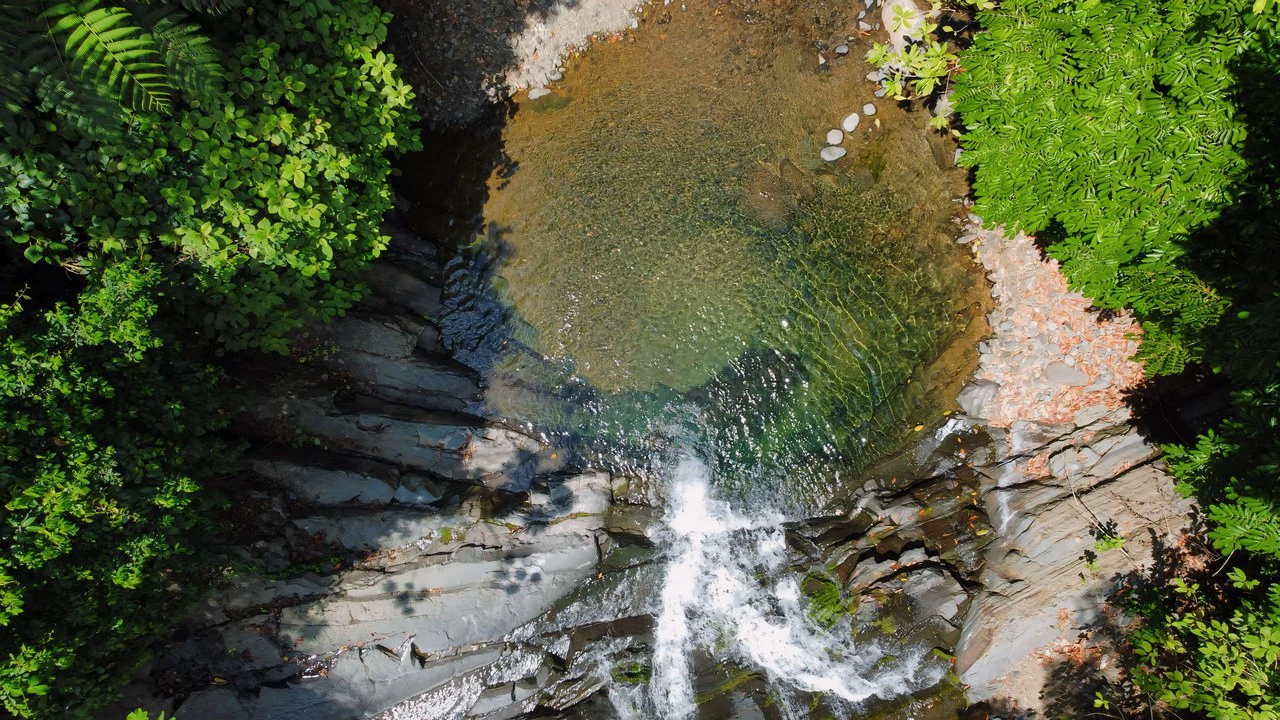 FINCA CERRO DEL TIGRE! OVER 20 ACRES OF PRIMARY FOREST AND WATERFALLS.: Mountain Agricultural Land For Sale in La Unión - Gallery image 29
