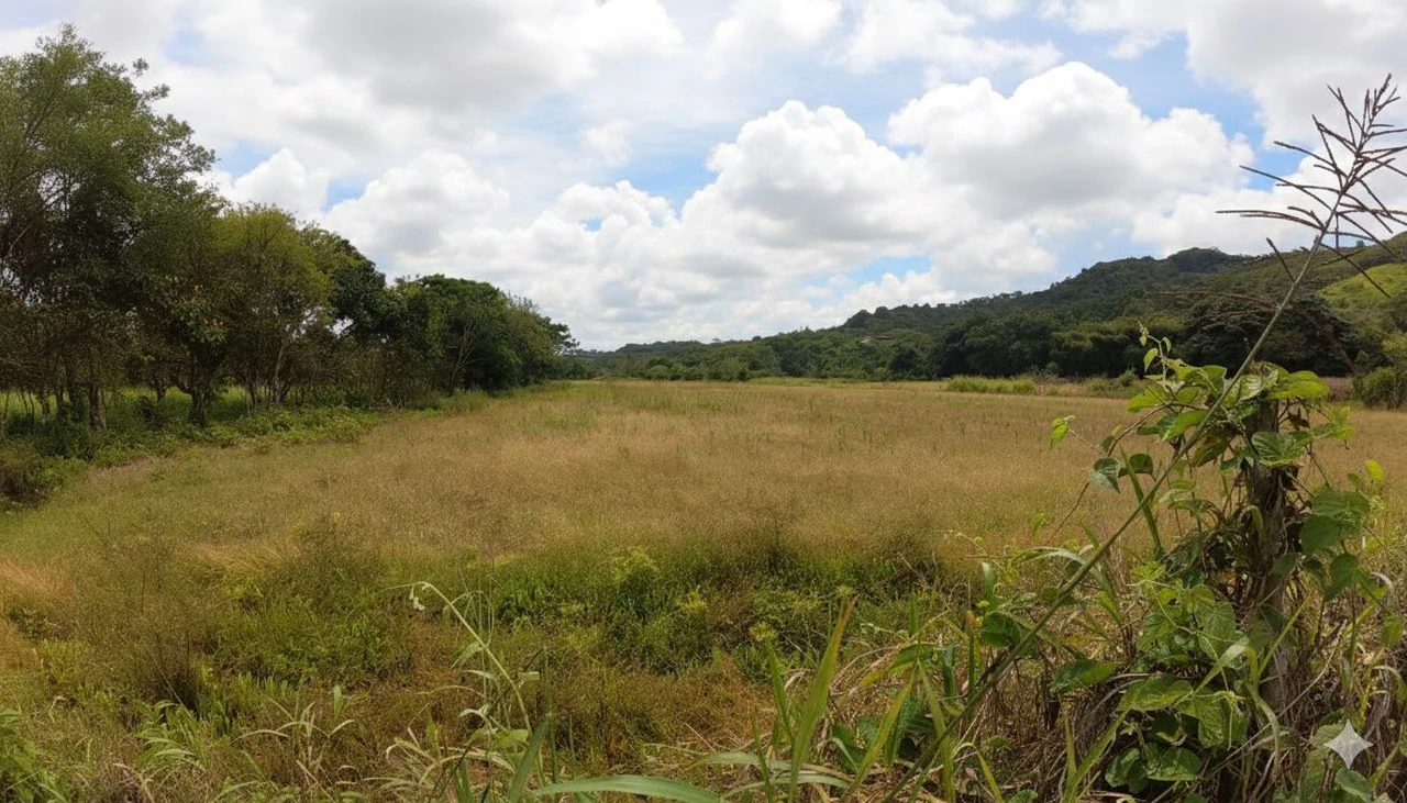 Home Construction Site For Sale in El Rosario de Pacuar - Gallery image 5