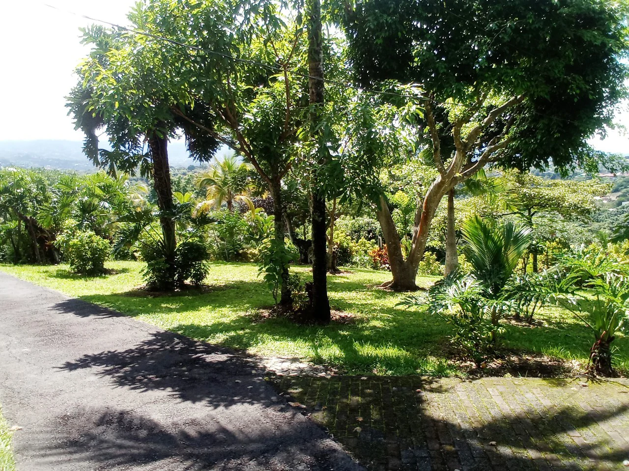 Sarchi City Compound: Spacious Private Finca near the City! - Gallery image 7