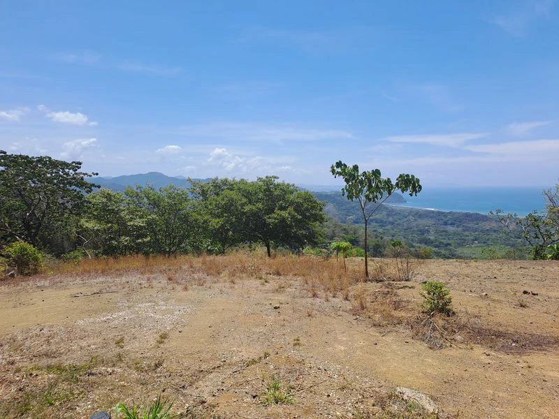 LOTE MIRAMAR: Stunning Ocean-View Parcel, Just Minutes from Carillo Beach - Gallery image 3