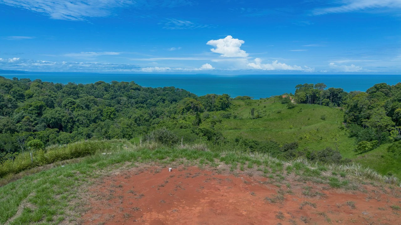 Luxury Ocean View Lot in Piñuelas - Premier Building Site - Gallery image 21