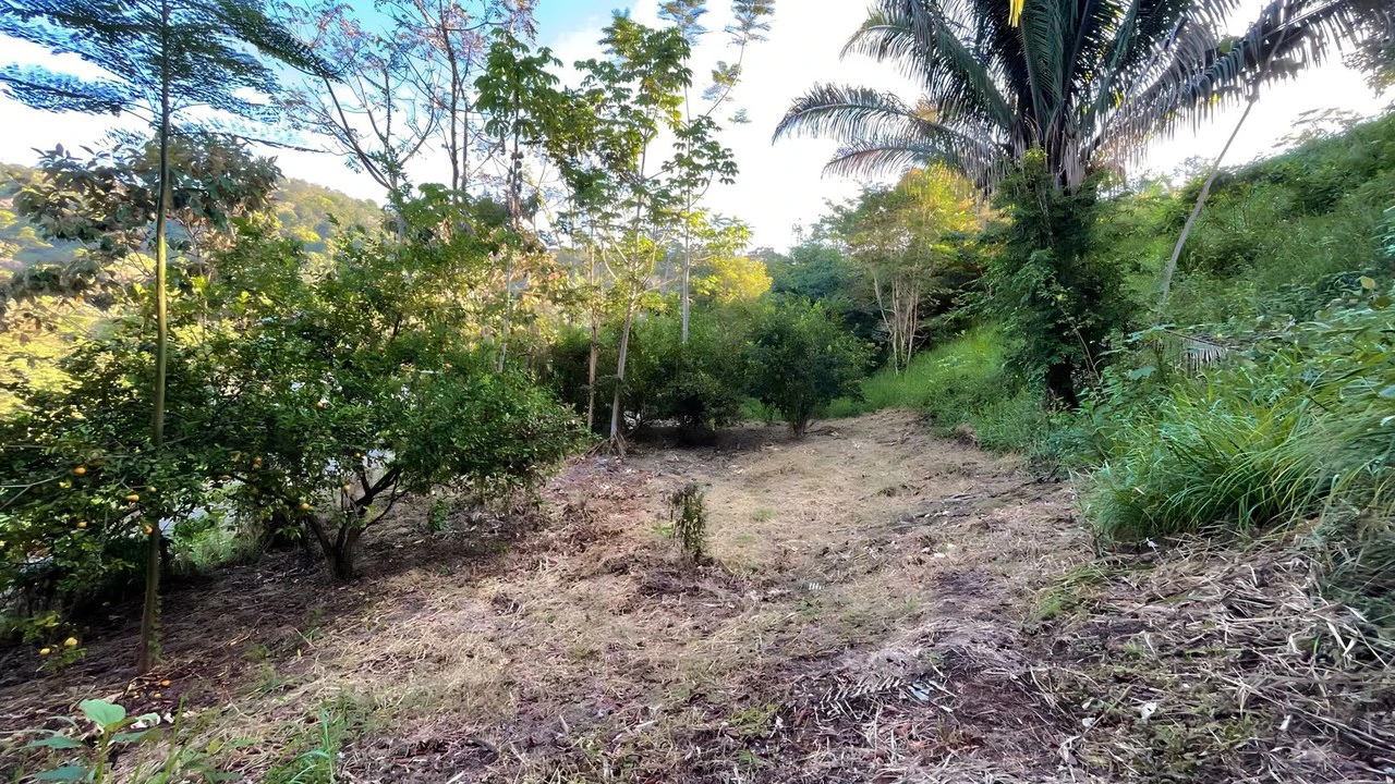 Exclusive Hermosa 1.2 Acre Lot with Panoramic Mountains and Ocean View. - Gallery image 9