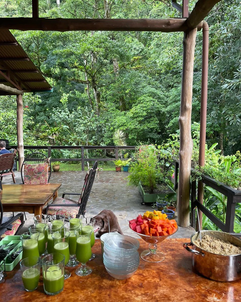 RIO SABALO: Yoga- Wellness-  and Eco Retreat Center - Gallery image 18
