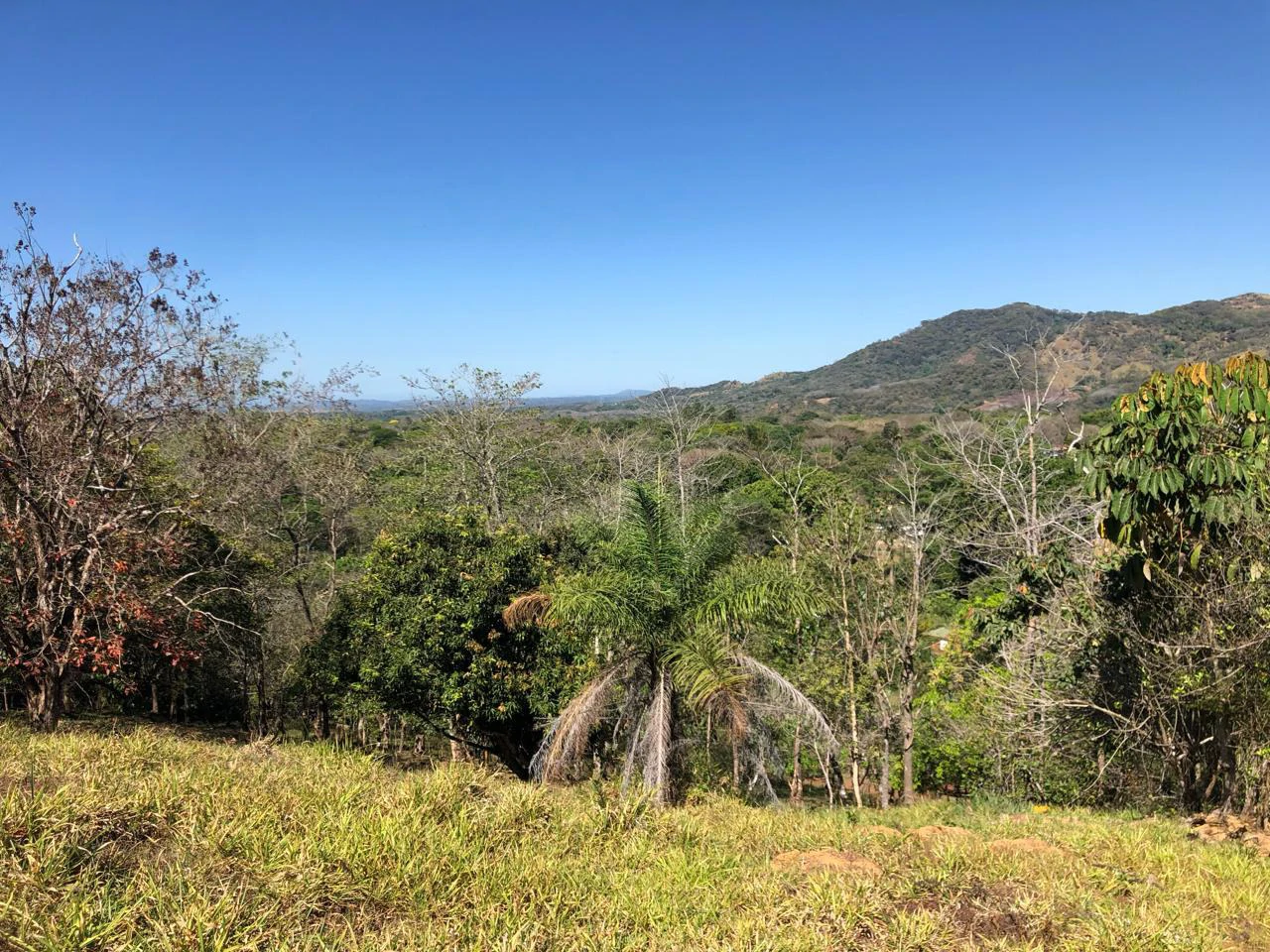 Peace, Privacy, Nature!: Finca in Eco friendly natural area - Gallery image 8