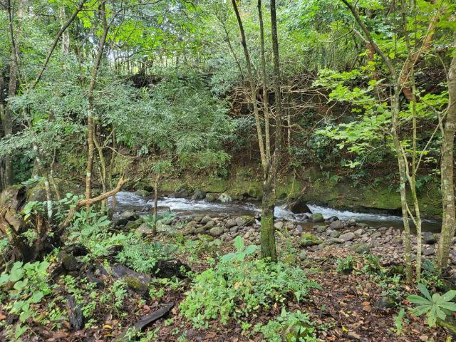 Charming property for sale in Nueva Guatemala with stunning views of the Tenorio Volcano and the beautiful green valleys - Gallery image 4