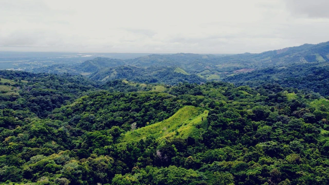 En venta, propiedad en Osa: Mountain Home Construction Site For Sale in Ciudad Cortés - Gallery image 23