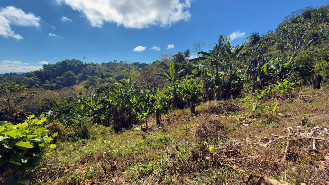 Countryside Home Construction Site For Sale in San Rafael - Gallery image 9
