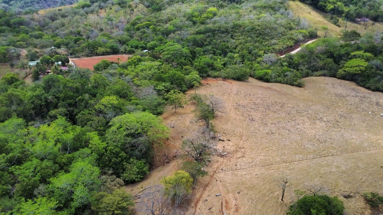 37-Hectare Ocean View Development Property Near Sámara, Buena Vista & Barrigona - photo 6