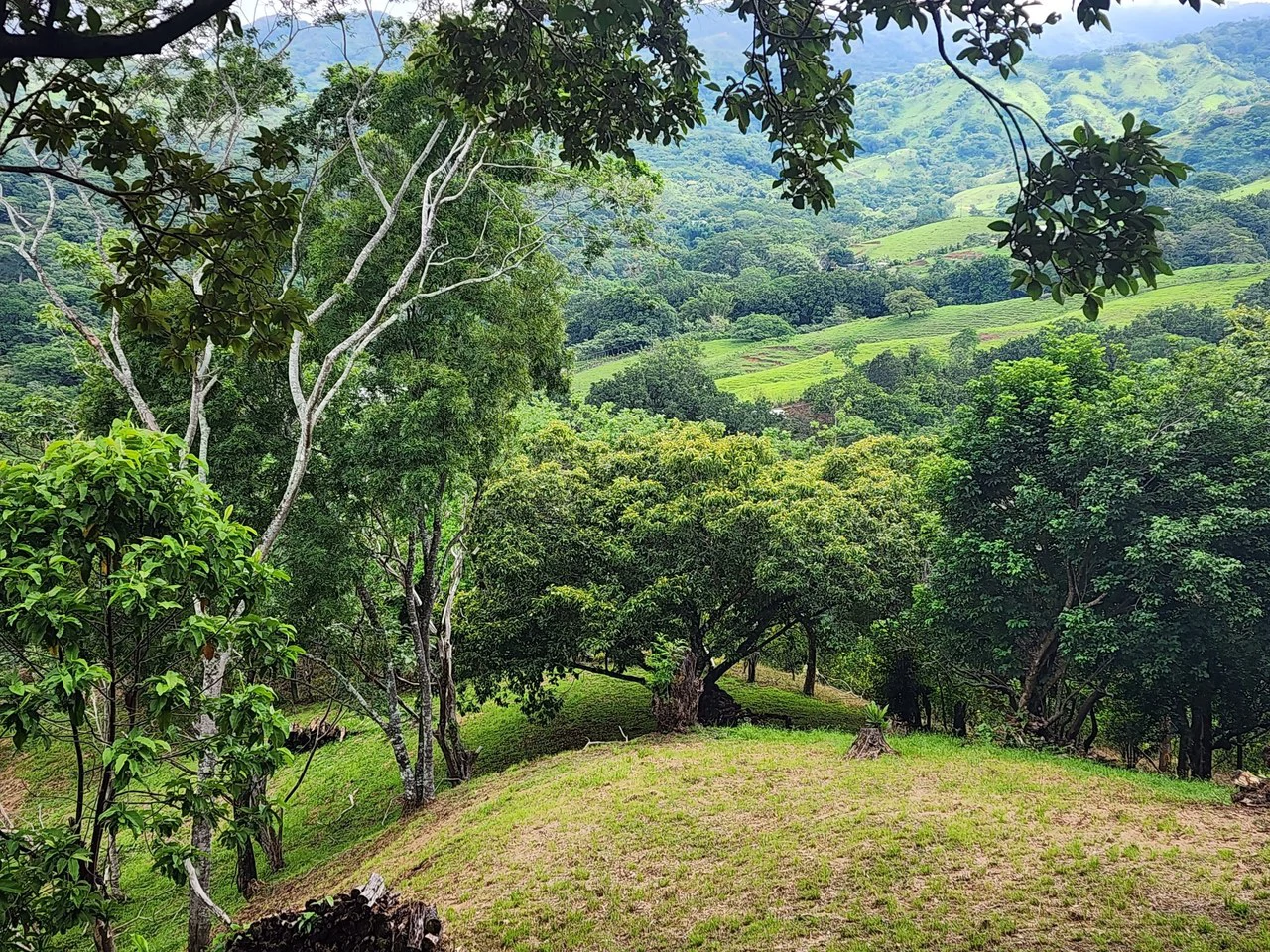 Mountain and Countryside Home Construction Site For Sale in Desmonte - Gallery image 2