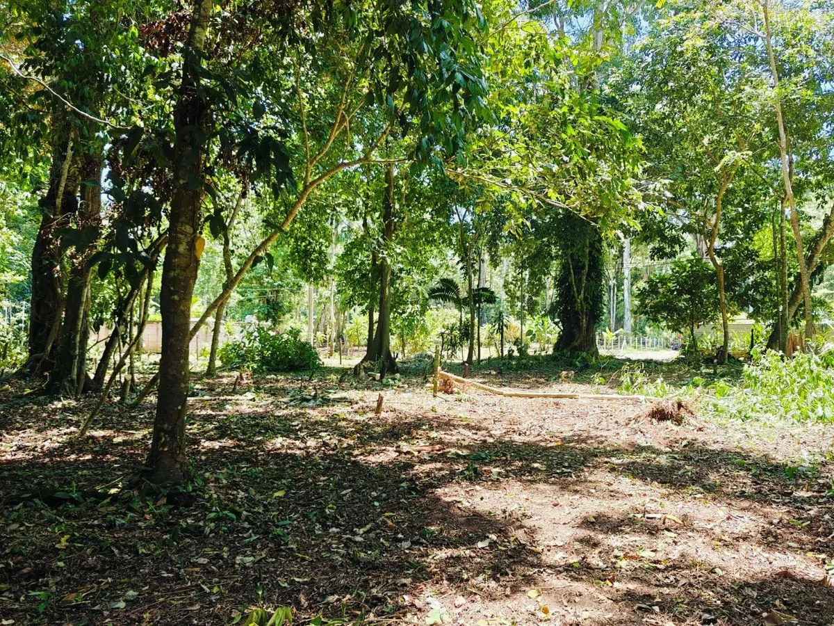 ID 879: Lot 5 - 2237 sqm Creekside Titled Lot Near Playa Grande, Cahuita - Old Yard Development - Gallery image 3