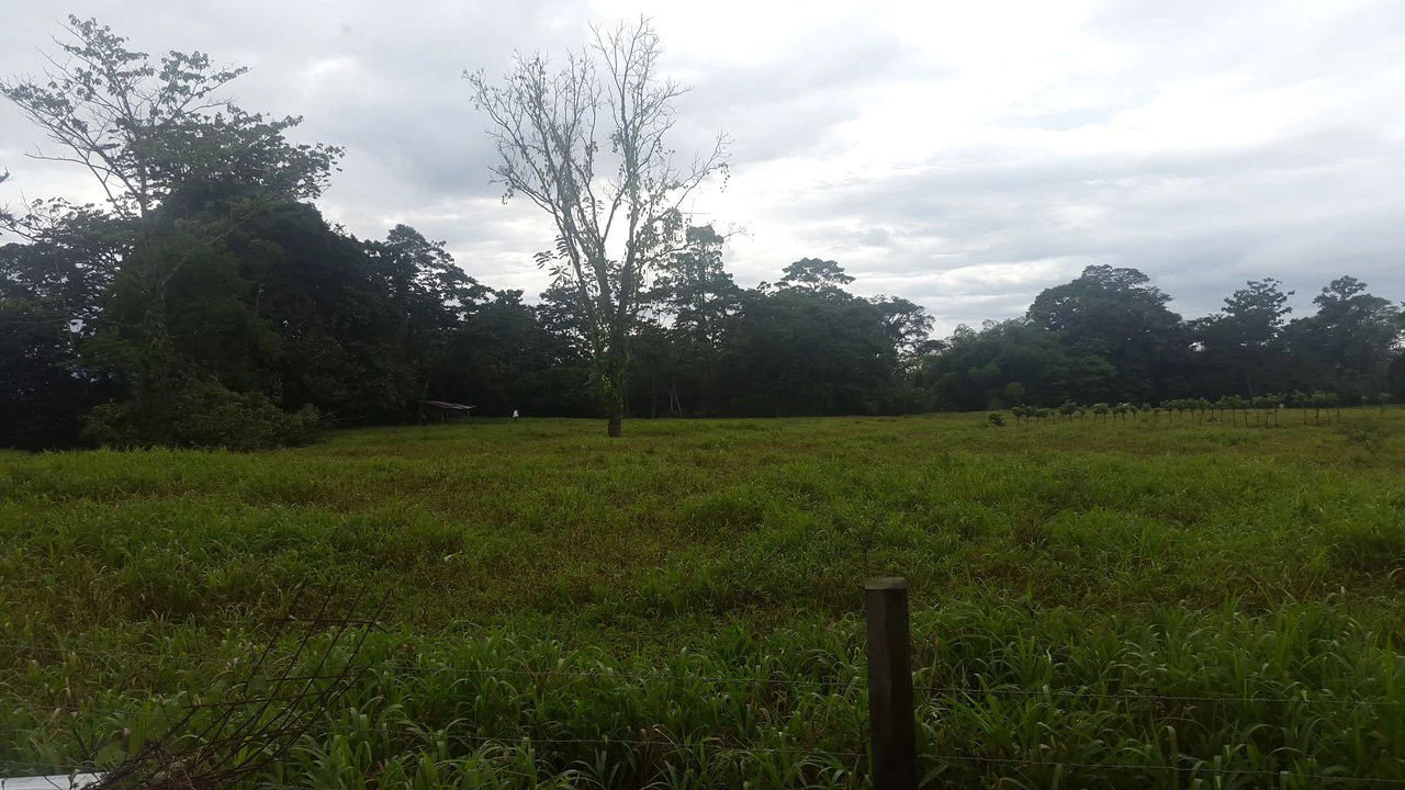 Countryside Development Parcel For Sale in Cariari - Gallery image 2