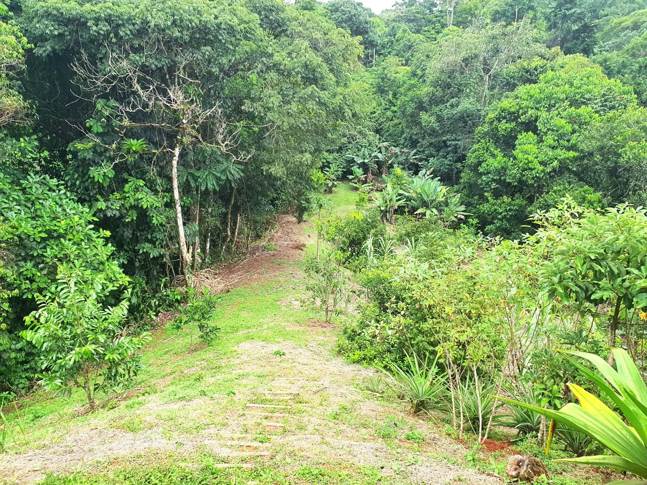 Land in Bijagual with a river crossing the property! - Gallery image 13