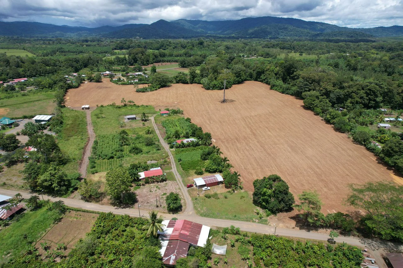 Finca La Palma, Puerto Jimenez: Excellent location ideal for development - Gallery image 11