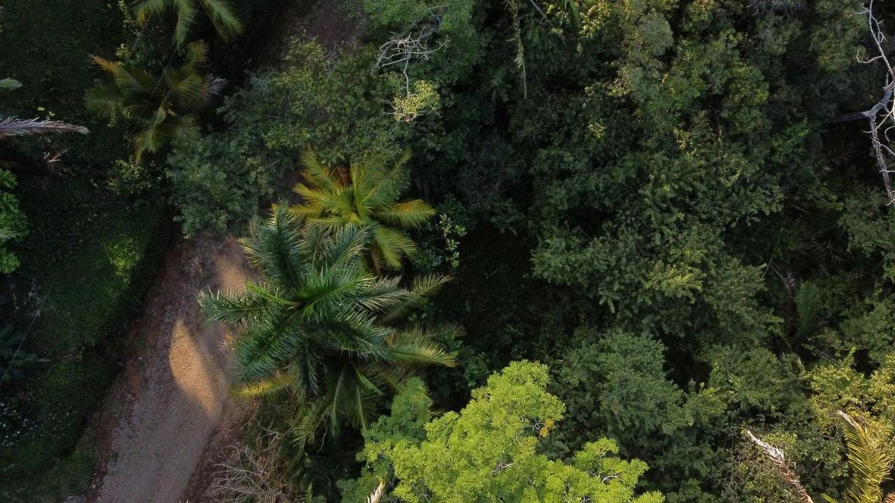 Gated Community Jungle View Lot: Near the Coast Home Construction Site For Sale in Sámara - Gallery image 2