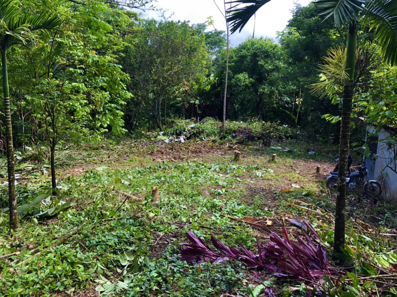 Mountain Home Construction Site For Sale in Tres Rios - Gallery image 10
