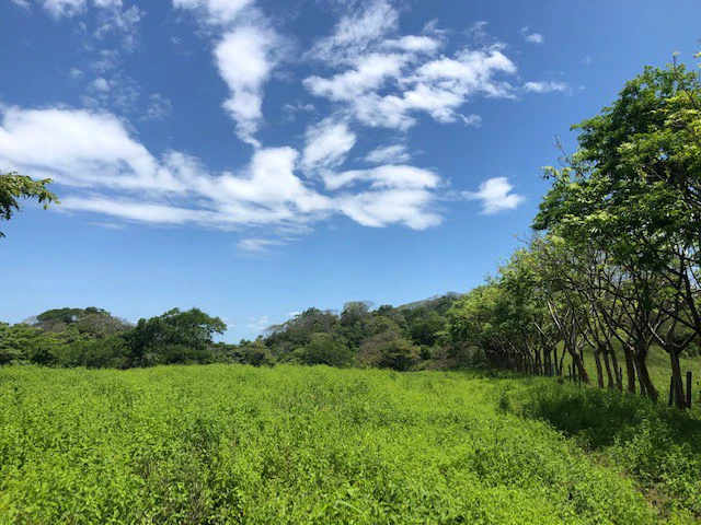Amazing 50% discount for Huge ocean-view farm for sale surrounded by soft rolling hills and pristine nature - Gallery image 28