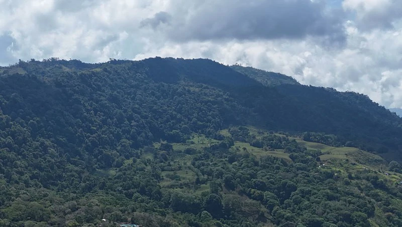 Oceanview Paradise Near San Luis Waterfall Ready to Build Morete, Uvita, Puntarenas, Costa Rica - Gallery image 2