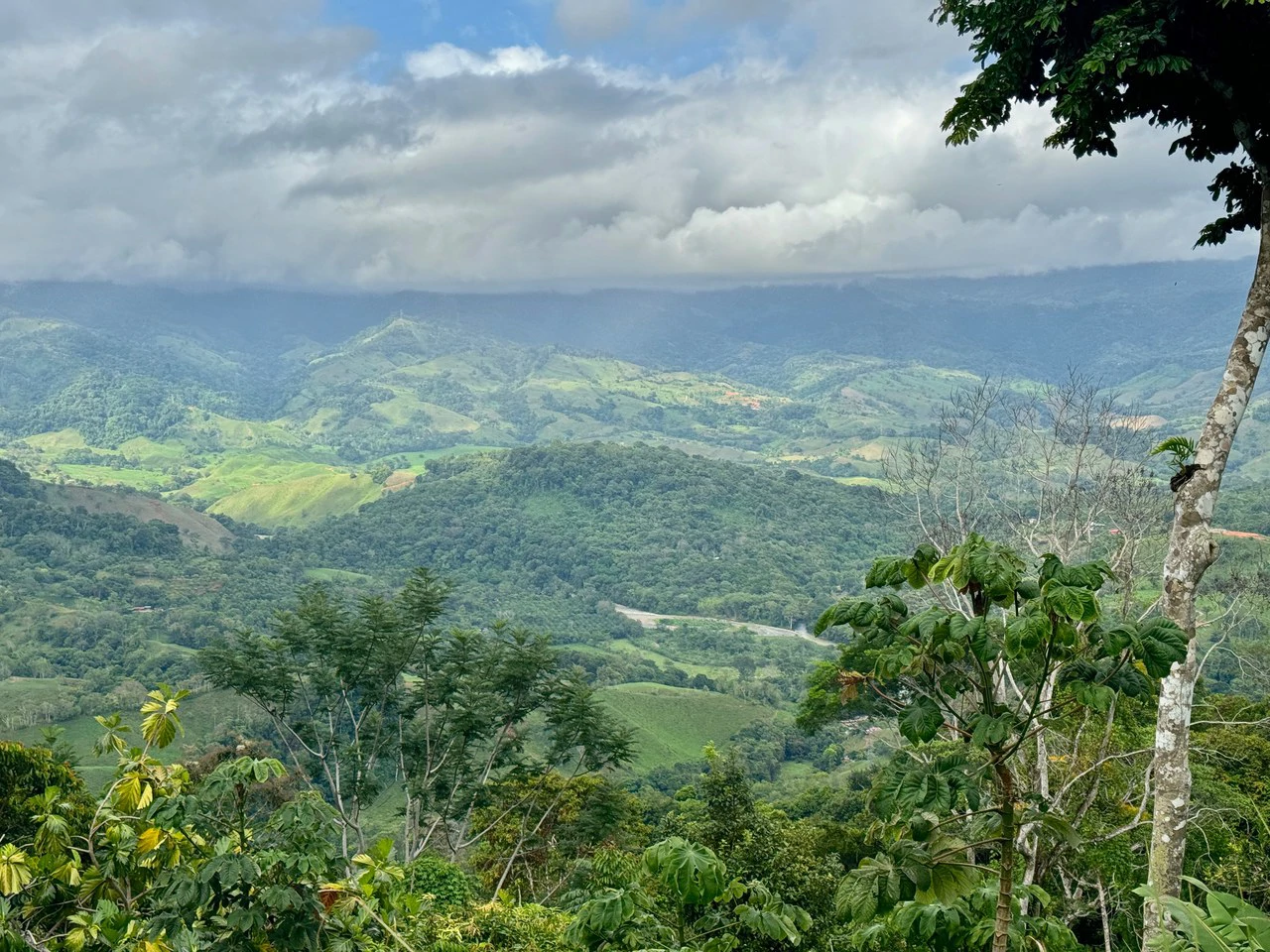 5.3 ACRES – Mountain And River View Land 20min To Dominical, Ready To Build, Legal Water, Electricity & Fiber Optics, Streams And Community Trails!!!! - Gallery image 9