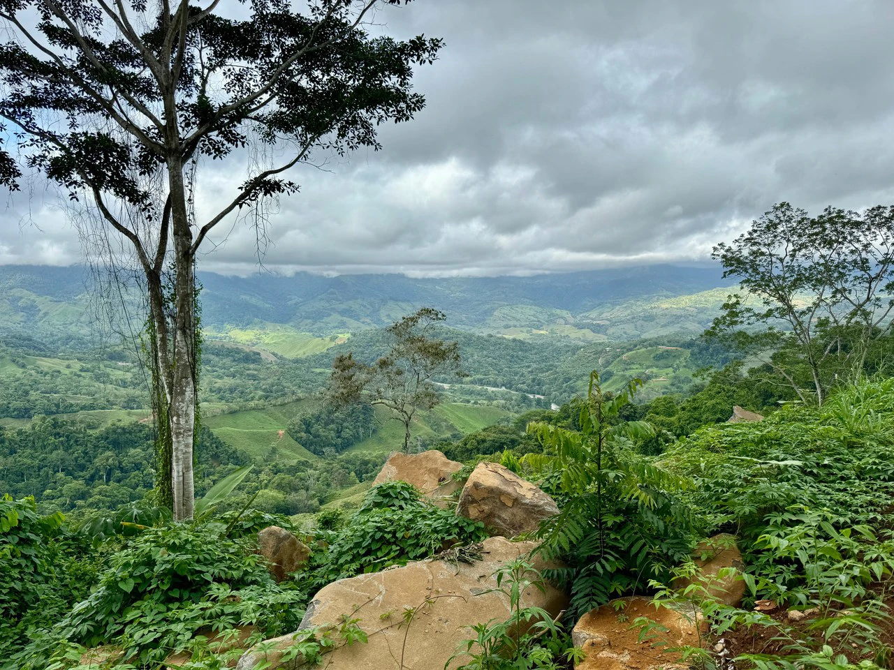 5.3 ACRES – Mountain And River View Land 20min To Dominical, Ready To Build, Legal Water, Electricity & Fiber Optics, Streams And Community Trails!!!! - Gallery image 7