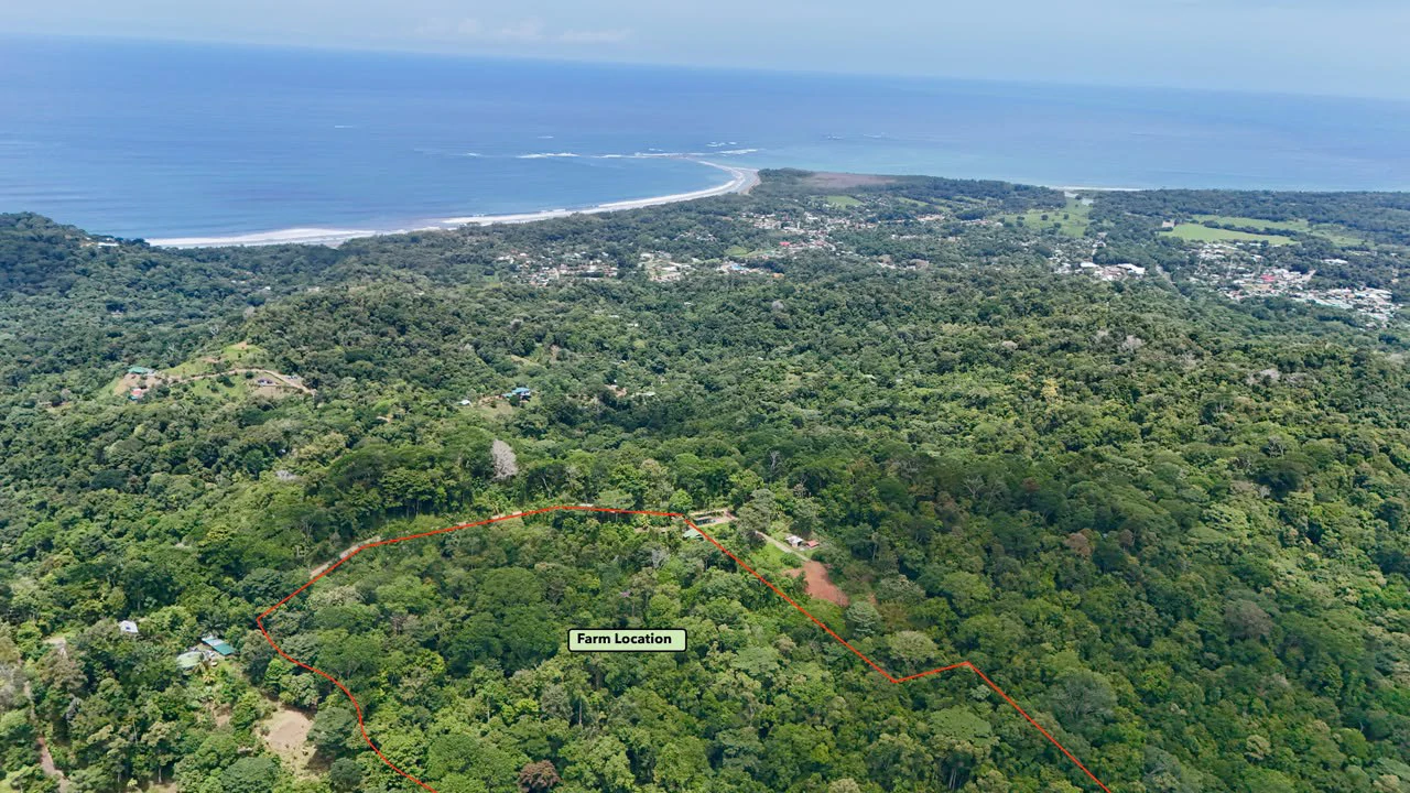 Uvita Development Farm - 40.47 Acres Estate